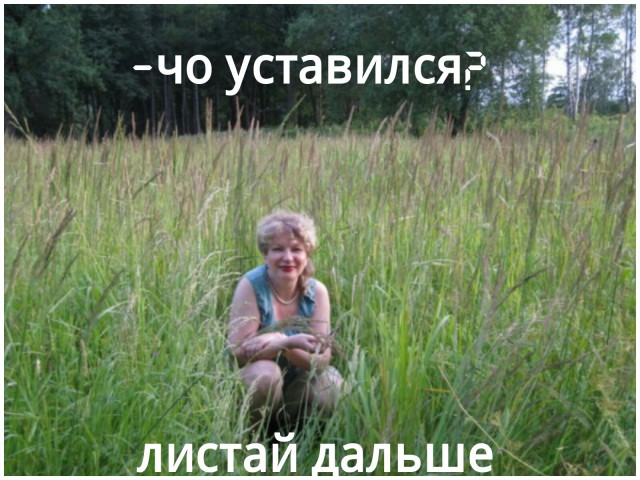 В асоциальных сетях продолжается безумное веселье