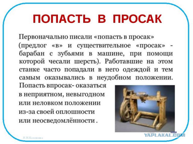 Тоннель Тоблерон. Девушки хвастаются "тоннелями" между ногами