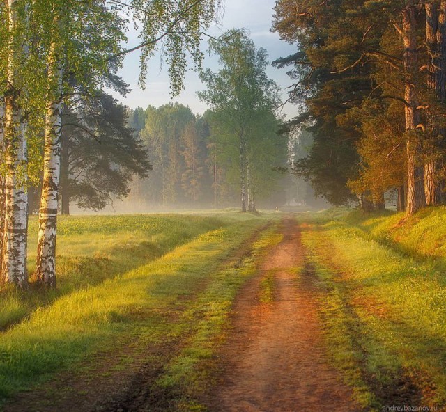 Несколько характерных русских пейзажей