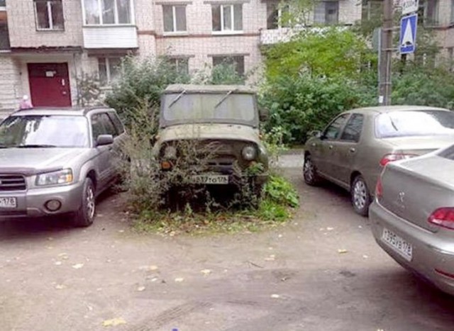Картинки по-приколу
