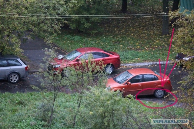 Очередной автоэгоист на пешеходной дорожке