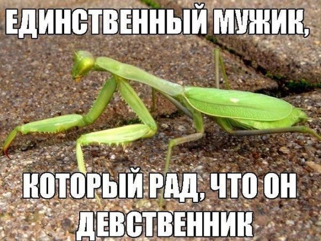 Немного картинок на вечер этой субботы