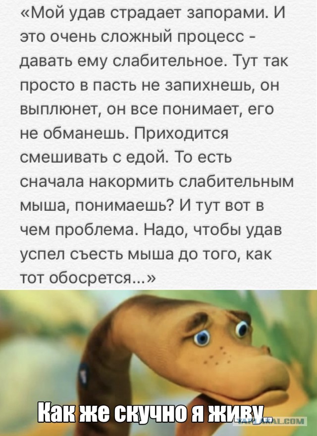 Немного картинок для настроения