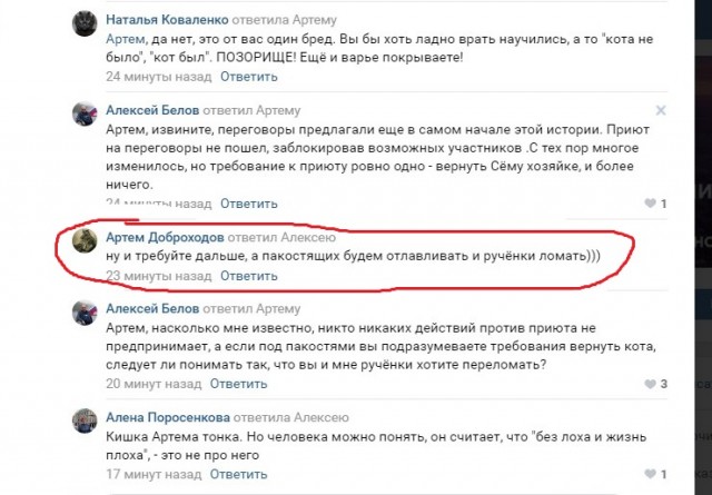 Помогите вернуть кота! Приют "Преданное сердце" украл кота и не отдает!-2