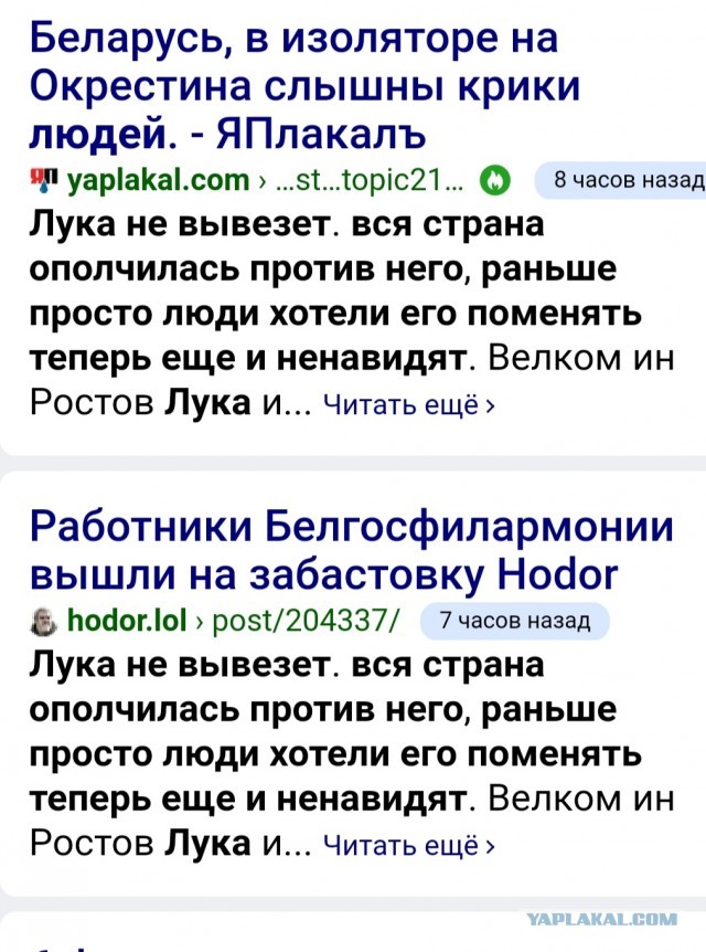 Рассказ из сизо беларуси про зверей