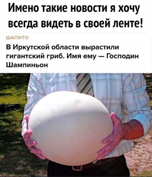 С миру по нитке 8.12.20