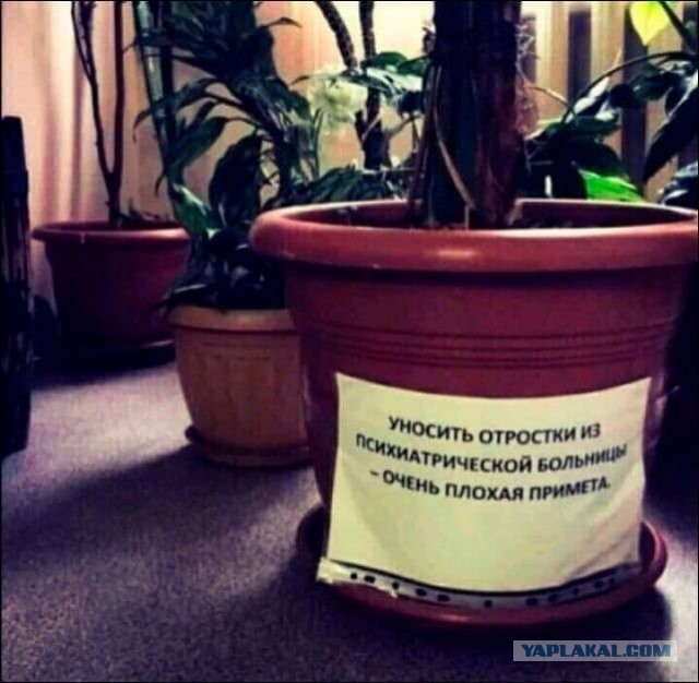 Бредзона 26.01.21