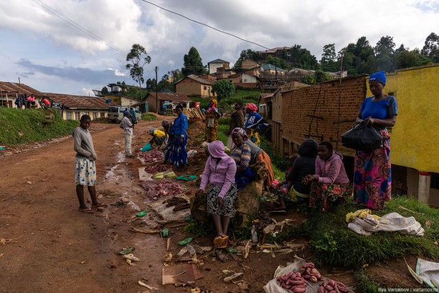 Уганда: самая настоящая Африка с гориллами и носорогами!