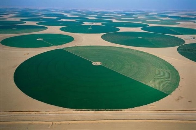 Фермерские зеленые поля Саудовской Аравии