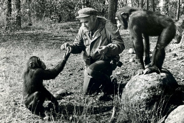 17 апреля 1968 в эфир вышла самая добрая телепередача «В мире животных»