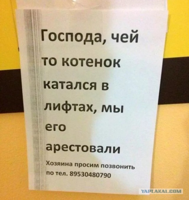Смешные обьявления