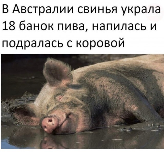 Кретинизмы из сети 20.07.21