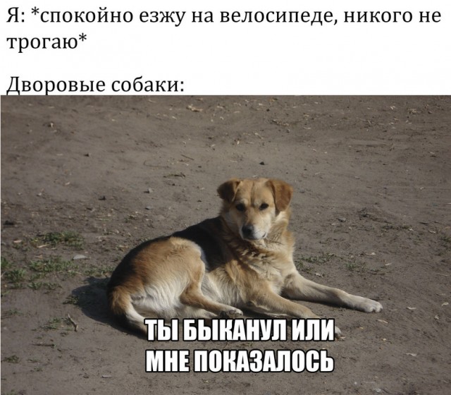 Картинки и мемы для настроения 001