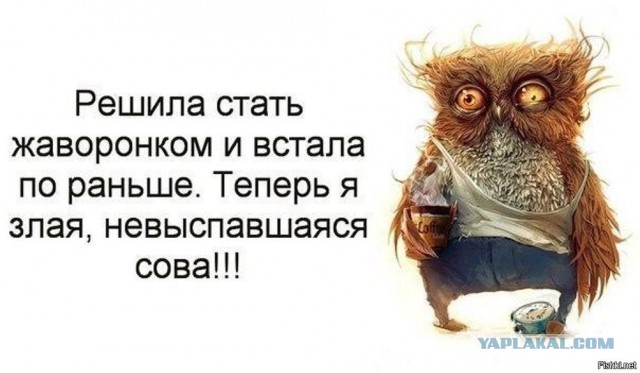 В Городе Сов