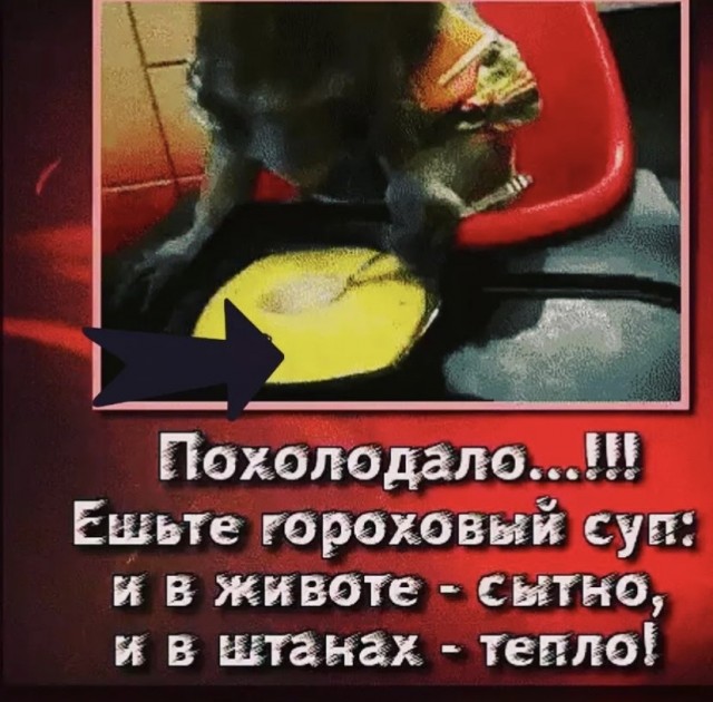 Картинки и мемы 08.10.2021