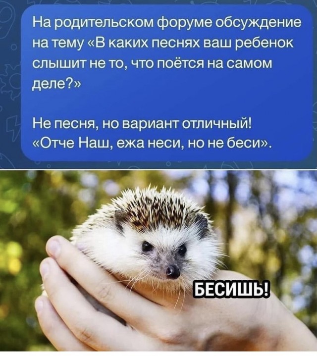 Весёлый полтишок 09.10