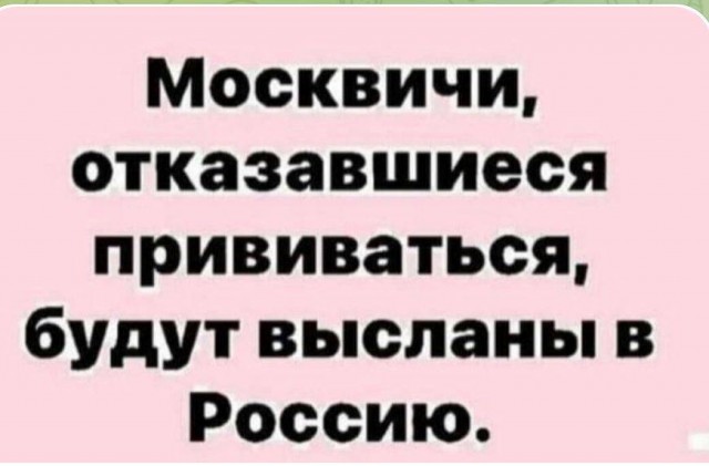 В Совете Федерации поддержали инициативу прощать купивших фальшивые QR-коды и сертификаты, если те всё же сделают прививку