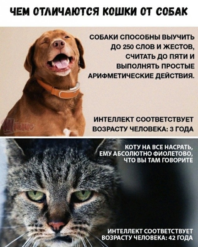 Идёт сбор подписей за запрет данной рекламы