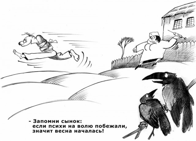 Так себе картинки 11.04.22