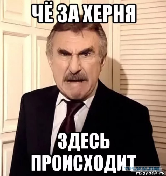 - Ахахаха, пока неудачники!