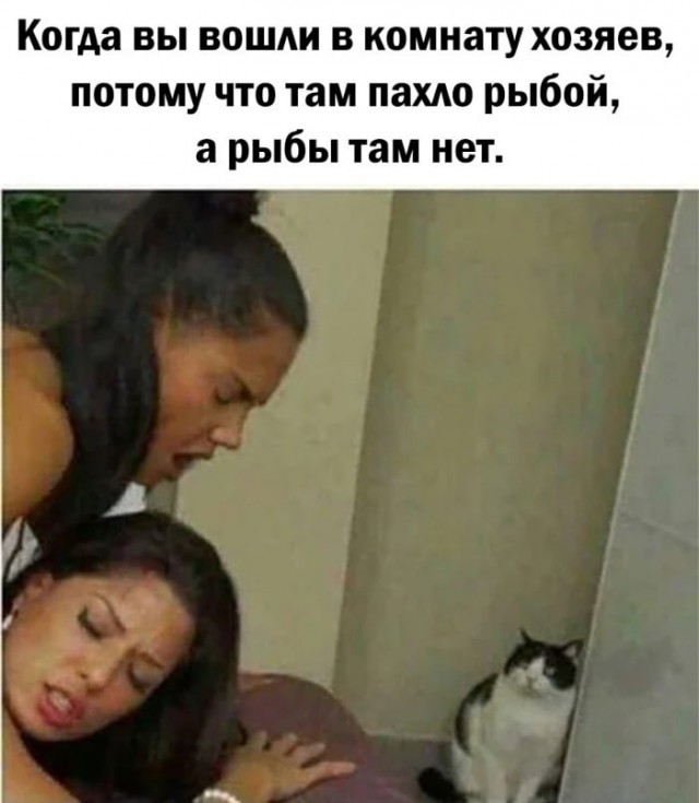 Так себе картинки 14.06.22