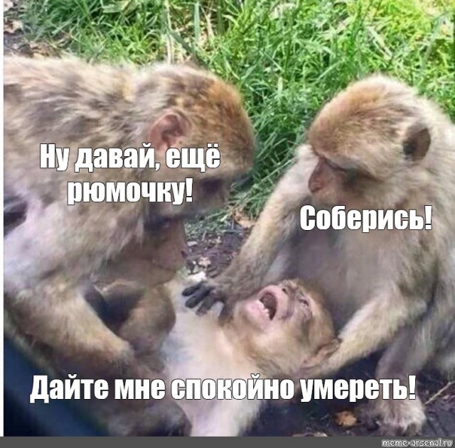Птичка и очень жаркое лето⁠⁠