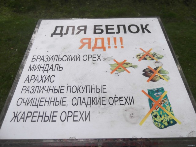 На территории бизнес центра…