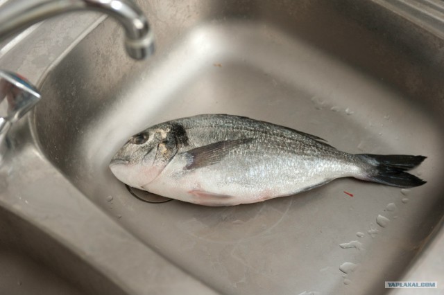 Поездка в Хорватию