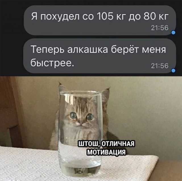 Баянисто-небаянистый юмор 27.08.22