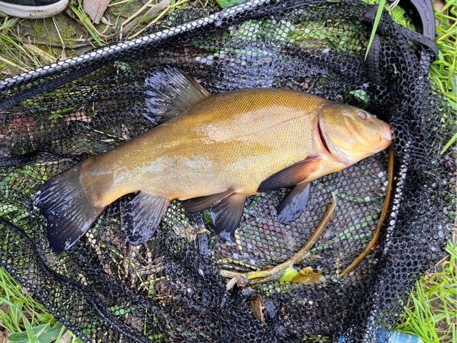 Рыбалка, как мы долго этого ждали