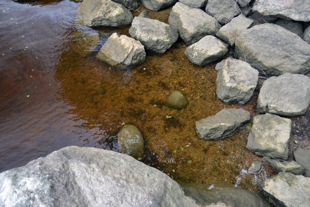 Поездка в Выборг