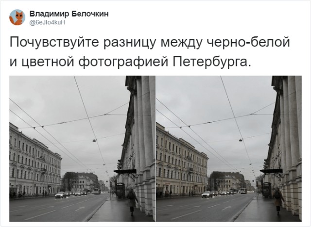 Москвичка устроила скандал в магазине из-за «п*дорского» шарика с цветами радуги