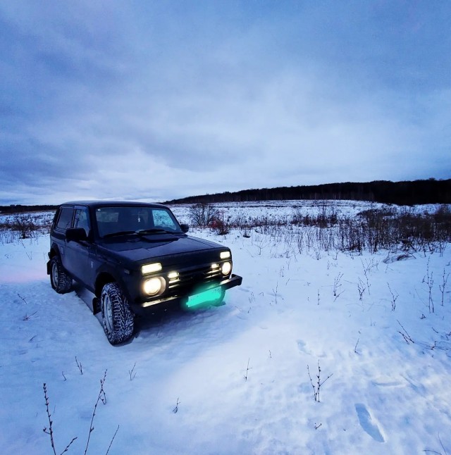Нивасик