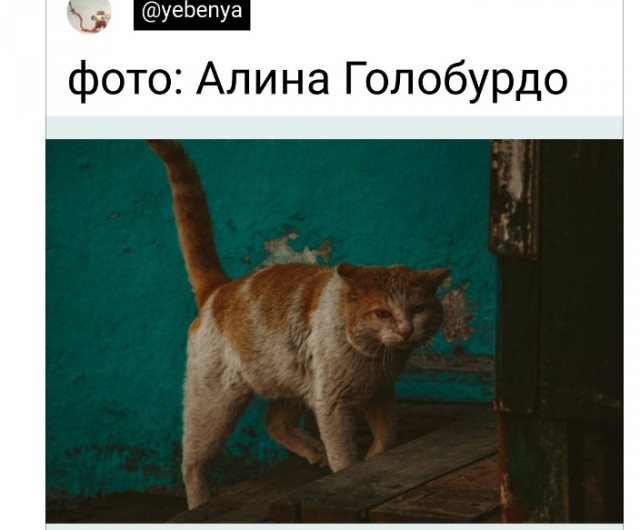 Картинки и мемы для настроения - 015