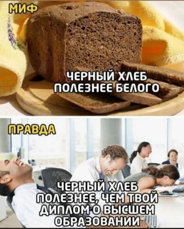 Лютая дичь (баяны)