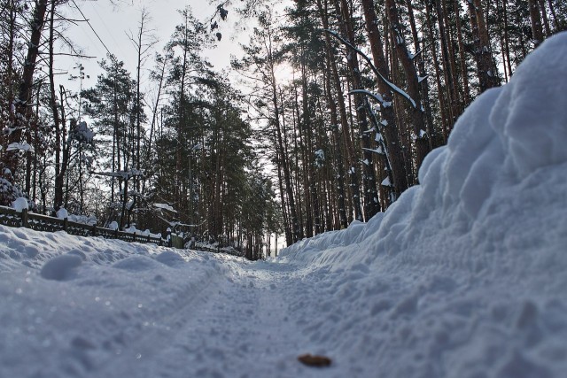 23 марта. Киев. Весна.