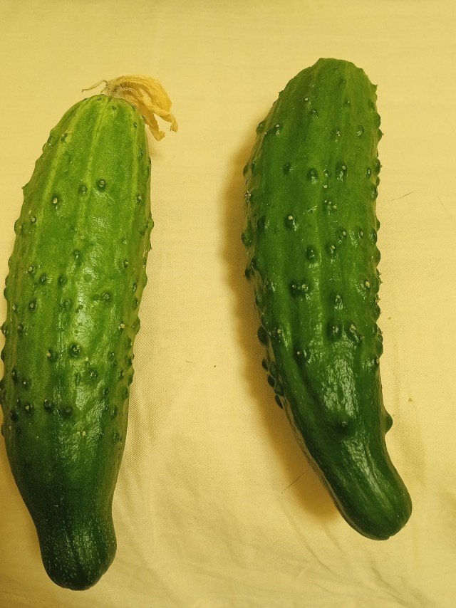 Огурцы дороже мяса