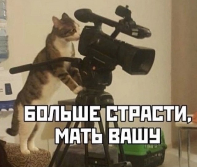 ББПЕ как вы любите