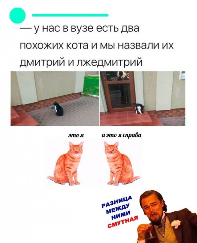 Народная меДИЧина 3013