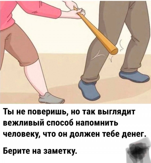 Весёлый полтишок 12.07 23