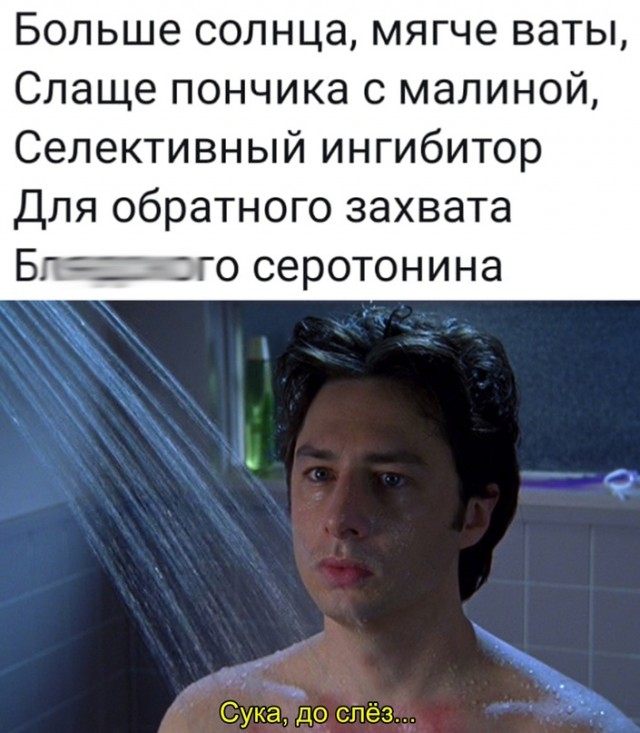 Весёлый полтишок 04.08.23