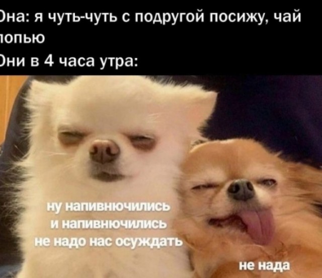 Женился на девственнице и пожалел!