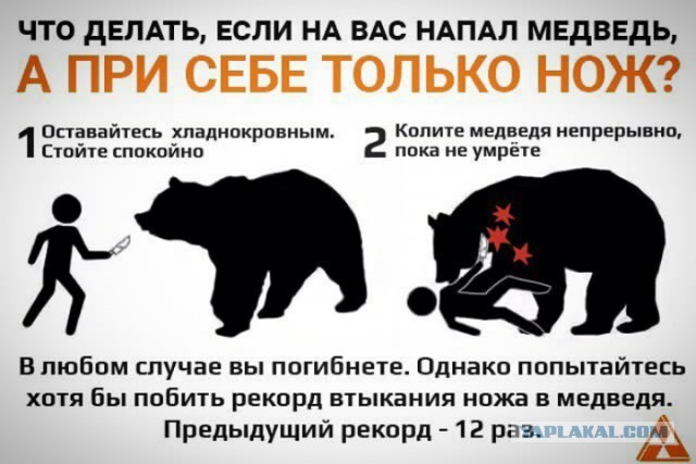 Хочешь утром вылезти из палатки, а там... медведь
