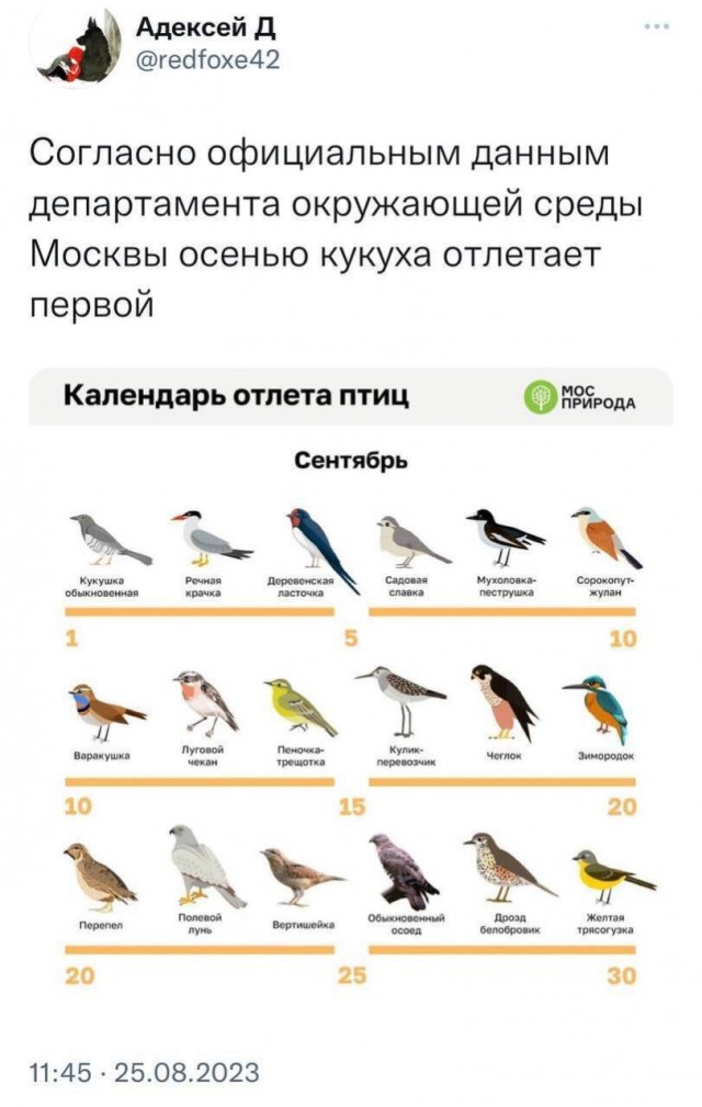 Средненедельная ХНЯ