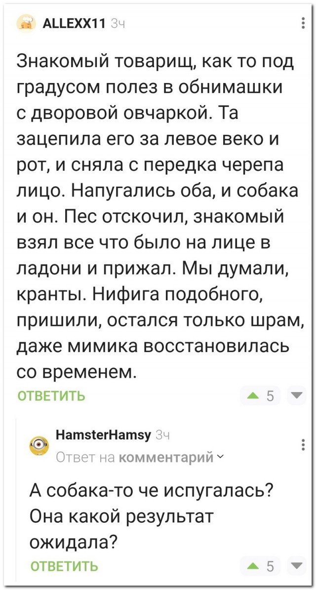Забавные комментарии из социальных сетей (02.10.23)