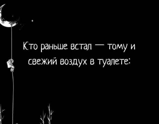 Весёлый полтишок 01.11.23