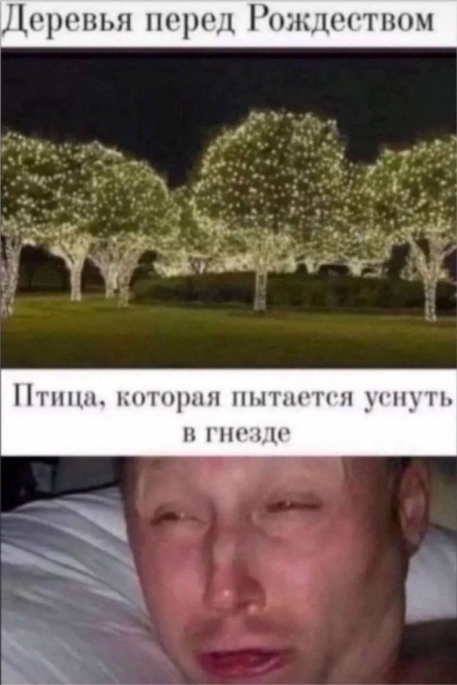 Отряд быстрого деградирования