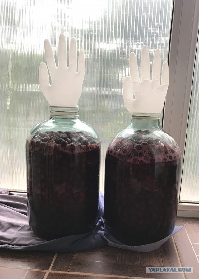 Кулинарная общалка