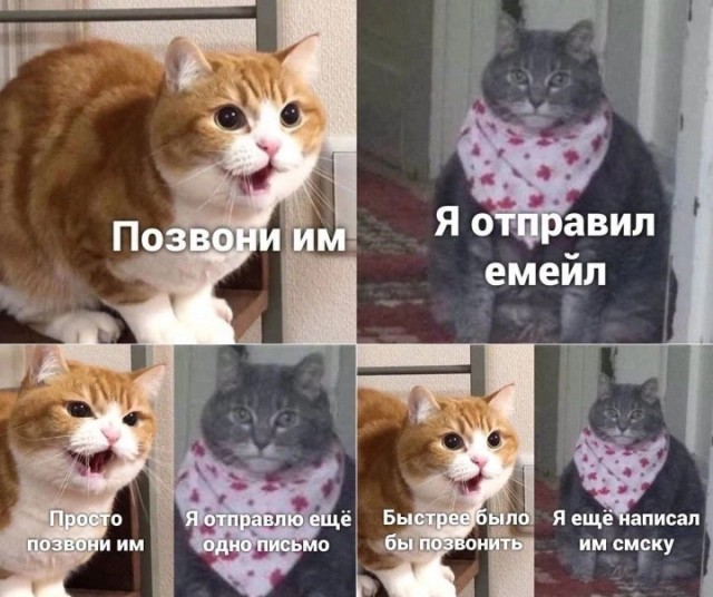 Всего понемногу. От 29.01.24