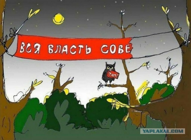 Тлидцать тли от 12 февлаля